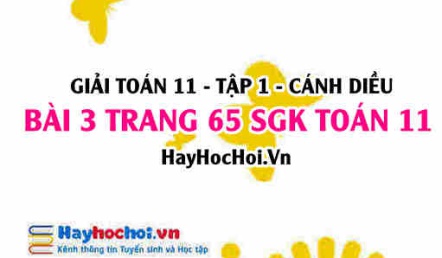 Giải bài 3 trang 65 Toán 11 tập 1 SGK Cánh Diều